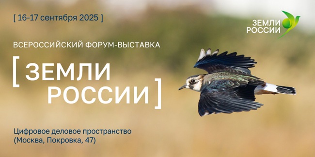 1024х512 (8)