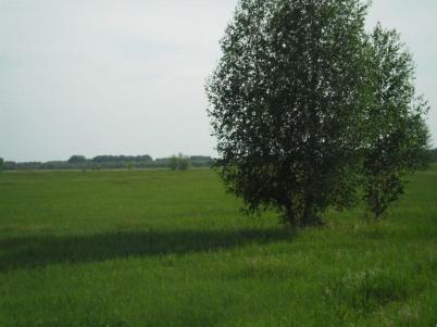 Продажа земли с. Новотроицкое