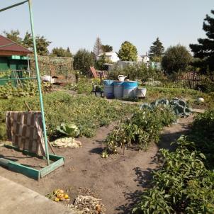 Продажа дачи Омск. СТ.Юбилейный Продажа дачи Омск. СТ.Юбилейный