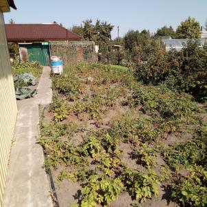 Продажа дачи Омск. СТ.Юбилейный Продажа дачи Омск. СТ.Юбилейный