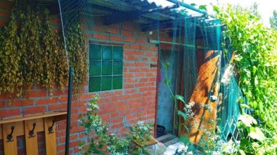 Продажа дачи Омск. тер сдт Мичуринец Продажа дачи Омск. тер сдт Мичуринец