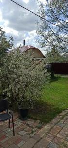 Продажа дачи Омск. тер сдт Мичуринец Продажа дачи Омск. тер сдт Мичуринец