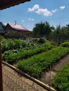 Продажа дачи Омск. СНТ Продажа дачи Омск. СНТ