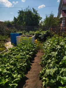 Продажа дачи Омск. СНТ Продажа дачи Омск. СНТ