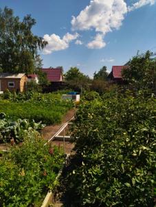 Продажа дачи Омск. СНТ Продажа дачи Омск. СНТ