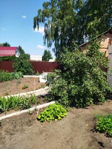 Продажа дачи Омск. СНТ Продажа дачи Омск. СНТ