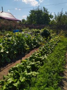 Продажа дачи Омск. СНТ 