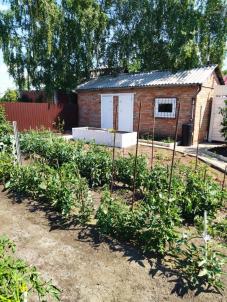 Продажа дачи Омск. СНТ Продажа дачи Омск. СНТ