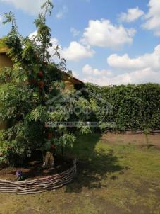 Продажа дома Центральная, 18/2 Продажа дома Центральная, 18/2