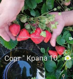 Продажа дома Центральная, 18/2 Продажа дома Центральная, 18/2