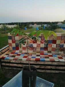 Продажа дома Центральная, 18/2 Продажа дома Центральная, 18/2