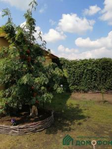 Продажа дома Центральная, 18/2 Продажа дома Центральная, 18/2