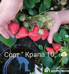 Продажа дома Центральная, 18/2 Продажа дома Центральная, 18/2