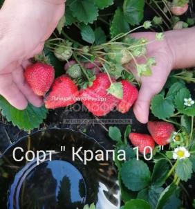 Продажа дома Центральная, 18/2 Продажа дома Центральная, 18/2