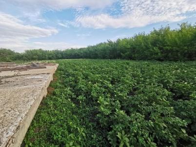 Продажа земли ул. Академическая Продажа земли ул. Академическая