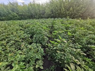 Продажа земли ул. Академическая Продажа земли ул. Академическая