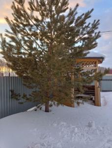 Продажа дома Южная, 13