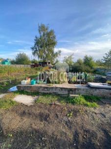 Продажа дачи Омск. Осташково, СОСН Строитель 3, 131