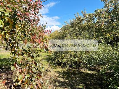 Продажа дома Омск. улица Суворова 84/1 Продажа дома Омск. улица Суворова 84/1