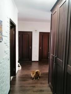 Продажа квартиры Омск. ул Молодежная 3-я, 57/а Продажа квартиры Омск. ул Молодежная 3-я, 57/а
