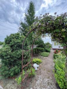 Продажа дачи Омск. СНТ Мечта-92, 9 аллея Продажа дачи Омск. СНТ Мечта-92, 9 аллея