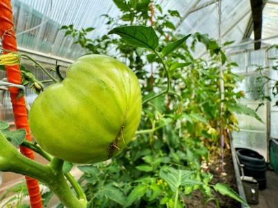 Продажа дома с. Троицкое, ул. О. Кошевого Продажа дома с. Троицкое, ул. О. Кошевого