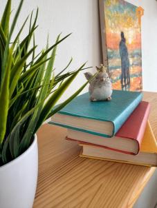 Продажа квартиры Омск. Ермолаева, 5 Продажа квартиры Омск. Ермолаева, 5