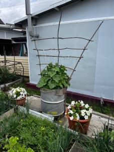 Продажа дома Омск. 12 Комсомольская 