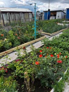 Продажа дома Омск. 12 Комсомольская 