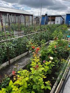 Продажа дома Омск. 12 Комсомольская 