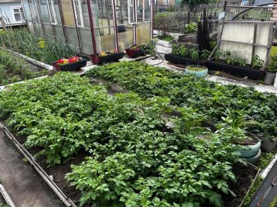 Продажа дома Омск. 12 Комсомольская 