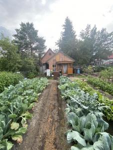 Продажа дачи Омск. СНТ Локомотив Продажа дачи Омск. СНТ Локомотив