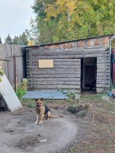 Продажа дома Омск. тракт Пушкинский Продажа дома Омск. тракт Пушкинский