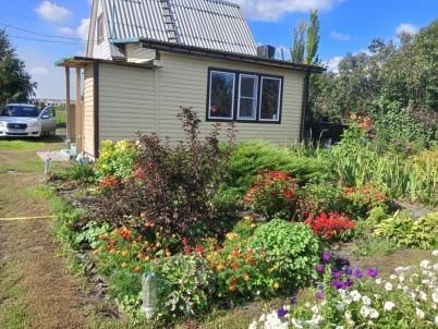 Продажа дачи Камышино. Продажа дачи Камышино.