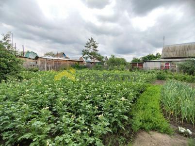 Продажа дачи Омск. г Омск, тер.СОСН Содружество-2, д 372 Продажа дачи Омск. г Омск, тер.СОСН Содружество-2, д 372