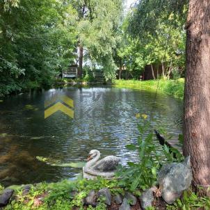 Продажа коммерческой недвижимости Омск. Полевая ул., 95А Продажа коммерческой недвижимости Омск. Полевая ул., 95А