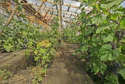 Продажа коммерческой недвижимости Омск. Полевая ул., 95А Продажа коммерческой недвижимости Омск. Полевая ул., 95А