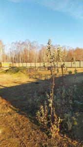 Продажа дома Омск. Омская обл., Омский р-н, Усть-Заостровское сельское поселение, с. Усть-Заостровка, коттеджный пос. Иртышские Зори, Берёзовая аллея, 58 Продажа дома Омск. Омская обл., Омский р-н, Усть-Заостровское сельское поселение, с. Усть-Заостровка, коттеджный пос. Иртышские Зори, Берёзовая аллея, 58