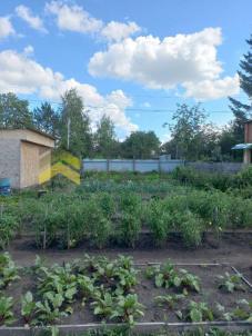 Продажа дачи Омск. Омск, территория СОСН Связист-3, 5-я аллея Продажа дачи Омск. Омск, территория СОСН Связист-3, 5-я аллея