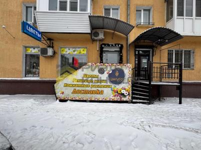 Продажа коммерческой недвижимости Омск. улица Пушкина, 99 Продажа коммерческой недвижимости Омск. улица Пушкина, 99