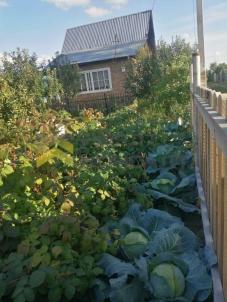 Продажа дачи Омск. г Омск, тер.СОСН Сибирский садовод-3