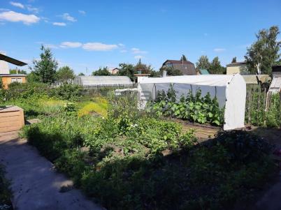 Продажа дачи Азовский немецкий национальный. СНТ Энергия-2. Омская обл, Азовский немецкий национальный р-н, деревня Гауф, тер.СОСН Энергия-2 Продажа дачи Азовский немецкий национальный. СНТ Энергия-2. Омская обл, Азовский немецкий национальный р-н, деревня Гауф, тер.СОСН Энергия-2