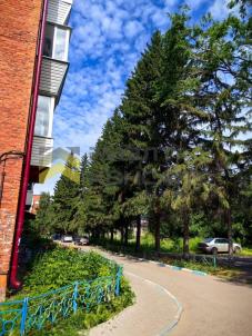 Продажа квартиры Омск. улица 5-я Кордная, 13а Продажа квартиры Омск. улица 5-я Кордная, 13а