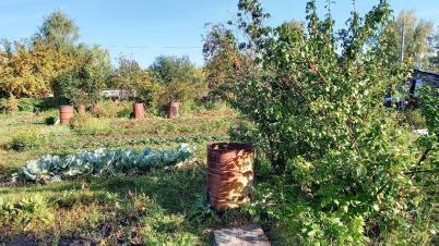 Продажа земли СТ Надежда-Сибади 3 Камышловское Продажа земли СТ Надежда-Сибади 3 Камышловское