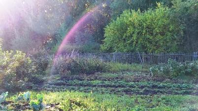 Продажа земли СТ Надежда-Сибади 3 Камышловское Продажа земли СТ Надежда-Сибади 3 Камышловское