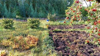 Продажа земли СТ Надежда-Сибади 3 Камышловское Продажа земли СТ Надежда-Сибади 3 Камышловское