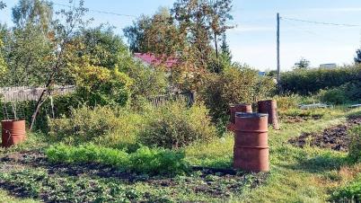 Продажа земли СТ Надежда-Сибади 3 Камышловское Продажа земли СТ Надежда-Сибади 3 Камышловское