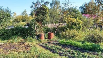 Продажа земли СТ Надежда-Сибади 3 Камышловское Продажа земли СТ Надежда-Сибади 3 Камышловское