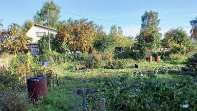 Продажа земли СТ Надежда-Сибади 3 Камышловское Продажа земли СТ Надежда-Сибади 3 Камышловское