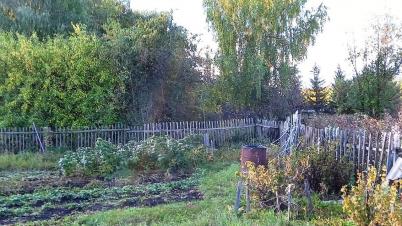 Продажа земли СТ Надежда-Сибади 3 Камышловское Продажа земли СТ Надежда-Сибади 3 Камышловское